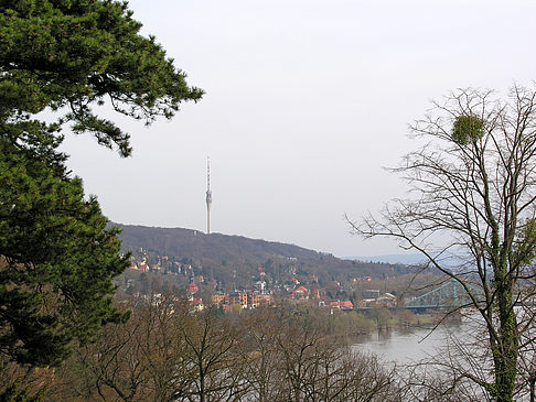 Fotos Elbe | Dresden