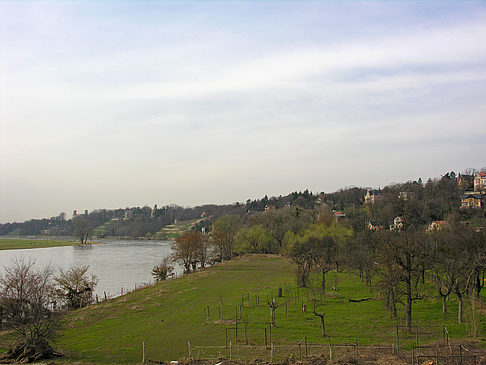 Foto Elbe - Dresden