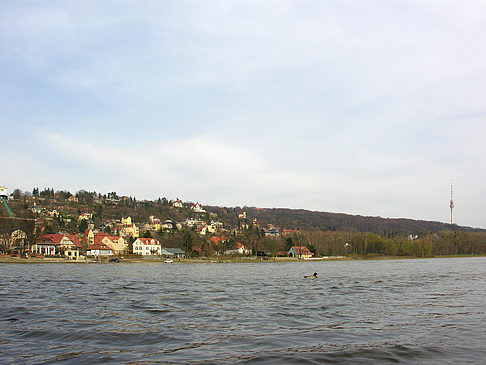 Foto Elbe