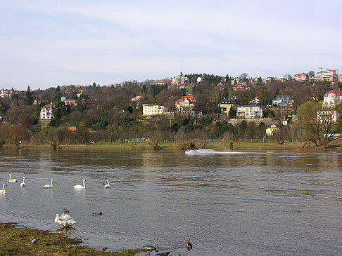 Villen am Elbufer - Sachsen (Dresden)