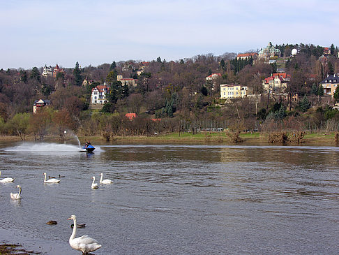 Foto Villen am Elbufer - Dresden