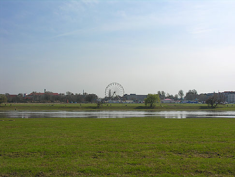 Elbufer - Sachsen (Dresden)