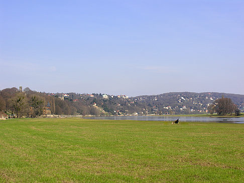 Elbufer - Sachsen (Dresden)