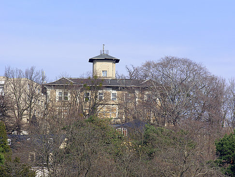 Elbufer - Sachsen (Dresden)