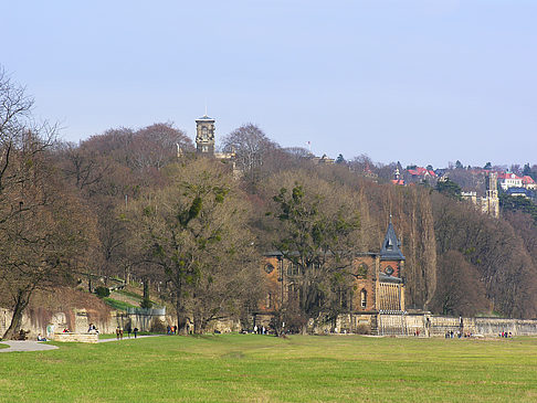 Elbufer - Sachsen (Dresden)