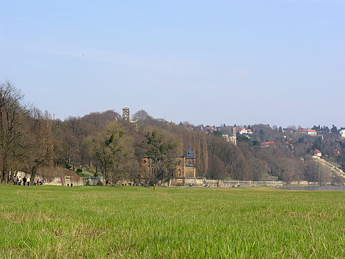 Elbufer - Sachsen (Dresden)