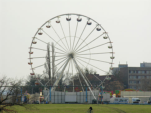 Elbufer - Sachsen (Dresden)