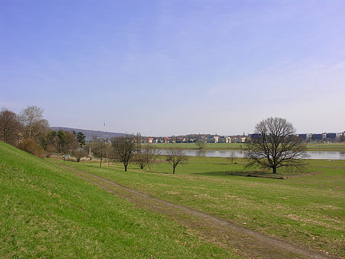 Elbufer - Sachsen (Dresden)