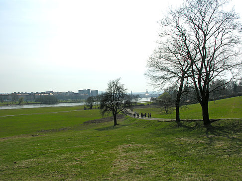 Elbufer - Sachsen (Dresden)