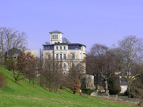 Elbufer - Sachsen (Dresden)