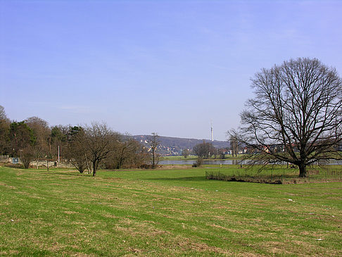 Elbufer - Sachsen (Dresden)