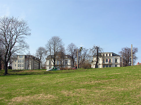 Elbufer - Sachsen (Dresden)