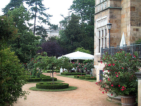 Schloss Eckberg - Sachsen (Dresden)