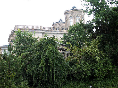 Foto Villa Stockhausen - Dresden