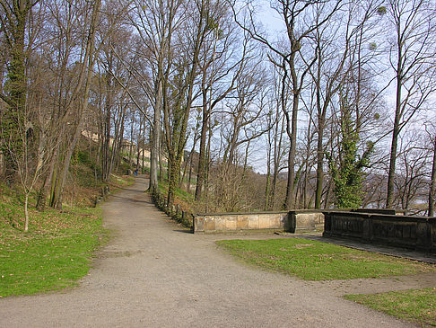 Foto Schloss Albrechtsberg - Dresden