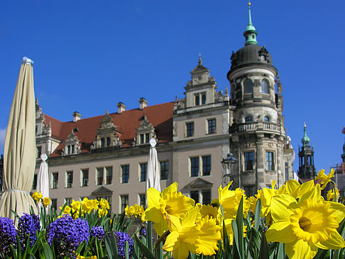 Foto Schloss - Dresden