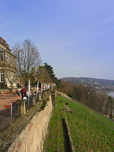 Lingnerschloss Fotos